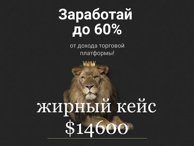 Арбитраж трафика на партнерке Olymp Trade (Kingfin) - жирный кейс на $14600 долларов