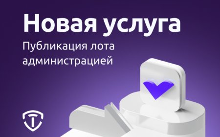 Telderi - новая услуга - публикация лота администрацией