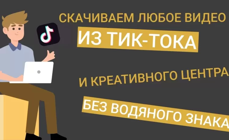 Телеграм-Бот: как скачать видео TikTok без водяного знака?